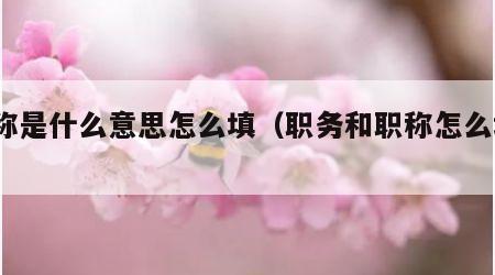 职称是什么意思怎么填（职务和职称怎么填?）