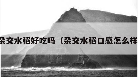 杂交水稻好吃吗（杂交水稻口感怎么样）