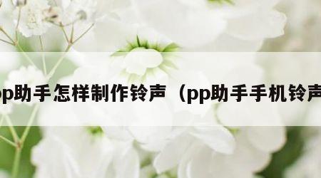 pp助手怎样制作铃声（pp助手手机铃声）
