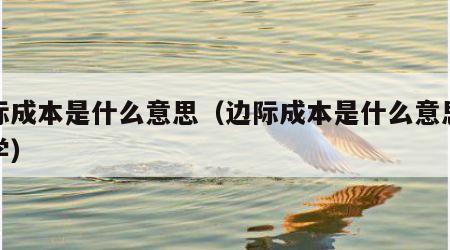边际成本是什么意思（边际成本是什么意思经济学）