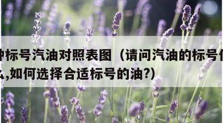 各种标号汽油对照表图（请问汽油的标号代表什么,如何选择合适标号的油?）