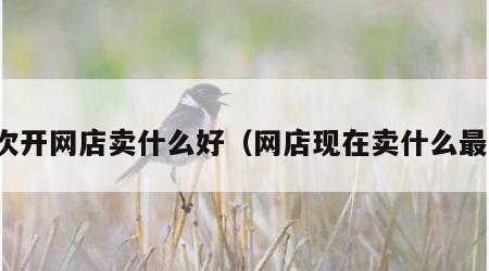 初次开网店卖什么好（网店现在卖什么最火）