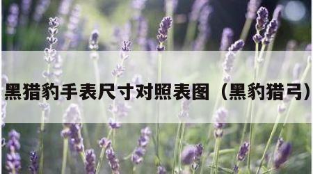 黑猎豹手表尺寸对照表图（黑豹猎弓）
