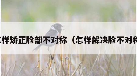 怎样矫正脸部不对称（怎样解决脸不对称）