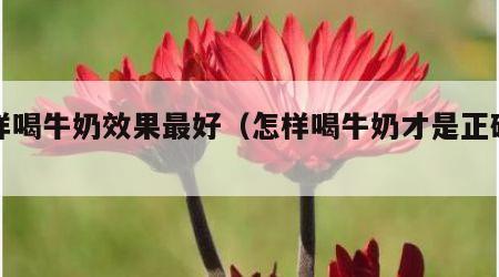 怎样喝牛奶效果最好（怎样喝牛奶才是正确的）
