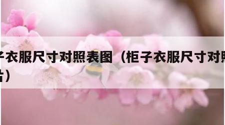 柜子衣服尺寸对照表图（柜子衣服尺寸对照表图片）