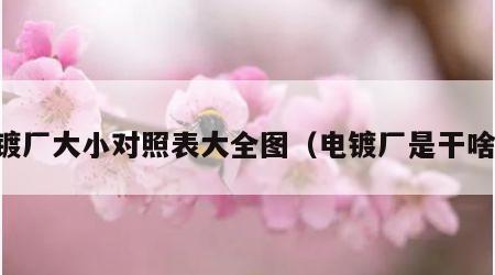电镀厂大小对照表大全图（电镀厂是干啥的）