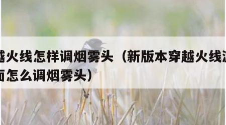 穿越火线怎样调烟雾头（新版本穿越火线游戏里面怎么调烟雾头）