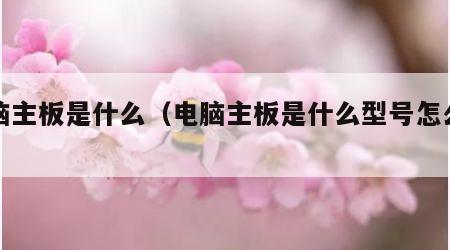 电脑主板是什么（电脑主板是什么型号怎么看）