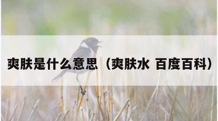 爽肤是什么意思（爽肤水 百度百科）