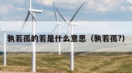 孰若孤的若是什么意思（孰若孤?）