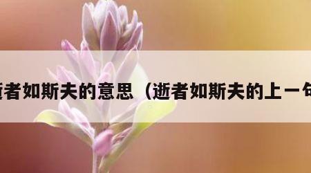 逝者如斯夫的意思（逝者如斯夫的上一句）
