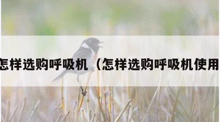 怎样选购呼吸机（怎样选购呼吸机使用）