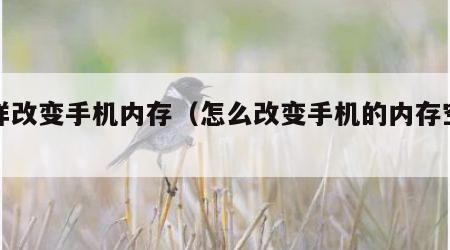 怎样改变手机内存（怎么改变手机的内存空间）
