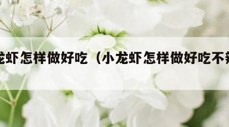小龙虾怎样做好吃（小龙虾怎样做好吃不辣的）