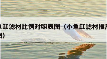 小鱼缸滤材比例对照表图（小鱼缸滤材摆放顺序图）