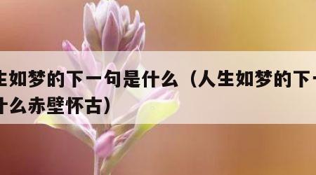 人生如梦的下一句是什么（人生如梦的下一句是什么赤壁怀古）
