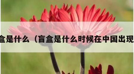 盲盒是什么（盲盒是什么时候在中国出现的）