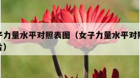 女子力量水平对照表图（女子力量水平对照表图片）