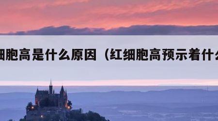 红细胞高是什么原因（红细胞高预示着什么疾病）