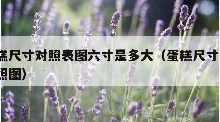 蛋糕尺寸对照表图六寸是多大（蛋糕尺寸6寸对照图）