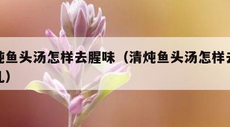 清炖鱼头汤怎样去腥味（清炖鱼头汤怎样去腥味儿）