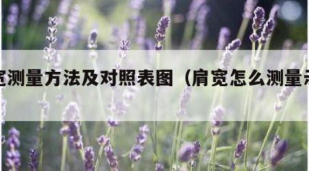 肩宽测量方法及对照表图（肩宽怎么测量示意图）