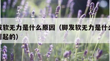 脚发软无力是什么原因（脚发软无力是什么原因引起的）
