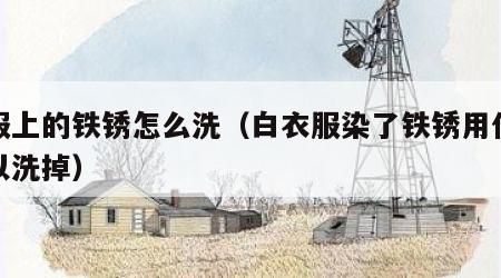 衣服上的铁锈怎么洗（白衣服染了铁锈用什么可以洗掉）