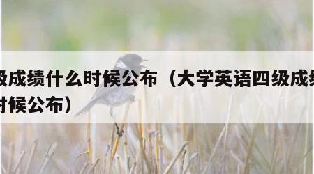 四级成绩什么时候公布（大学英语四级成绩什么时候公布）