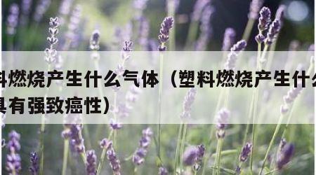 塑料燃烧产生什么气体（塑料燃烧产生什么气体具有强致癌性）