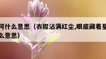 星河什么意思（衣襟沾满红尘,眼底藏着星河什么意思）