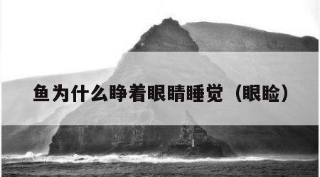 鱼为什么睁着眼睛睡觉（眼睑）