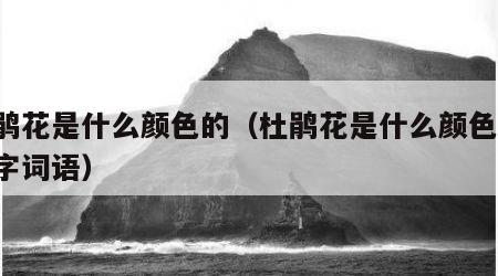 杜鹃花是什么颜色的（杜鹃花是什么颜色的,四字词语）