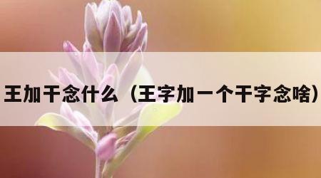 王加干念什么（王字加一个干字念啥）