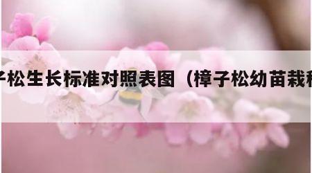 樟子松生长标准对照表图（樟子松幼苗栽种技术）