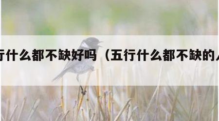 五行什么都不缺好吗（五行什么都不缺的人多吗）