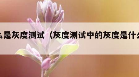 什么是灰度测试（灰度测试中的灰度是什么意思）