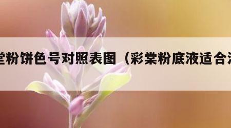 彩堂粉饼色号对照表图（彩棠粉底液适合油皮吗）