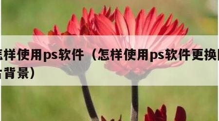 怎样使用ps软件（怎样使用ps软件更换图片背景）