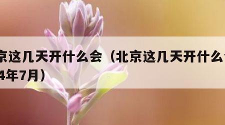 北京这几天开什么会（北京这几天开什么会2024年7月）
