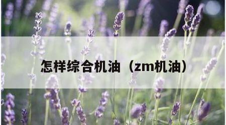 怎样综合机油（zm机油）
