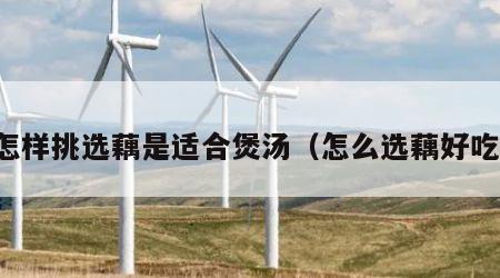 怎样挑选藕是适合煲汤（怎么选藕好吃）