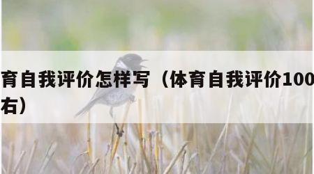 体育自我评价怎样写（体育自我评价100字左右）