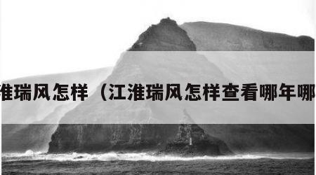 江淮瑞风怎样（江淮瑞风怎样查看哪年哪款）