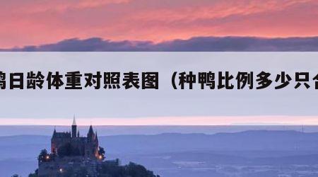 种鸭日龄体重对照表图（种鸭比例多少只合适）