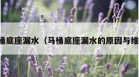 马桶底座漏水（马桶底座漏水的原因与维修）