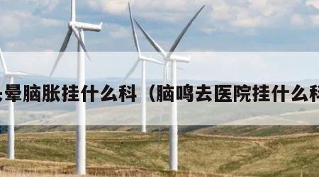 头晕脑胀挂什么科（脑鸣去医院挂什么科）