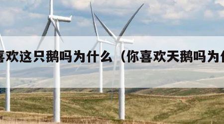 你喜欢这只鹅吗为什么（你喜欢天鹅吗为什么）