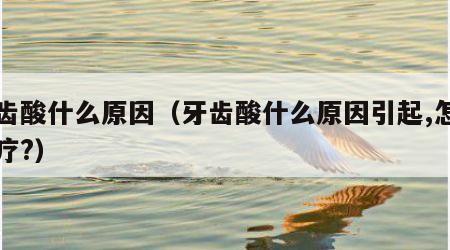 牙齿酸什么原因（牙齿酸什么原因引起,怎么治疗?）